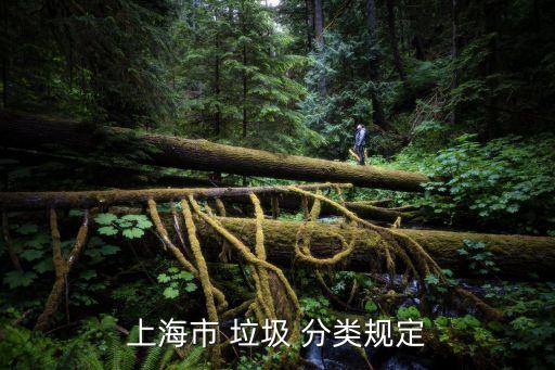 上海市 垃圾 分類規(guī)定