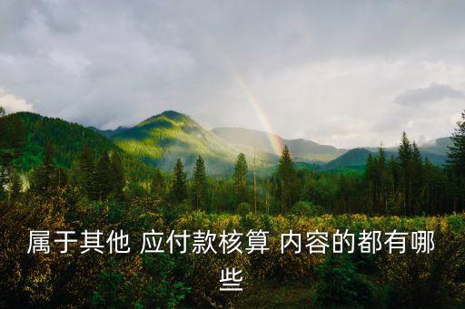 其他應(yīng)付款包括哪些內(nèi)容,資產(chǎn)負(fù)債表其他應(yīng)付款包括哪些內(nèi)容