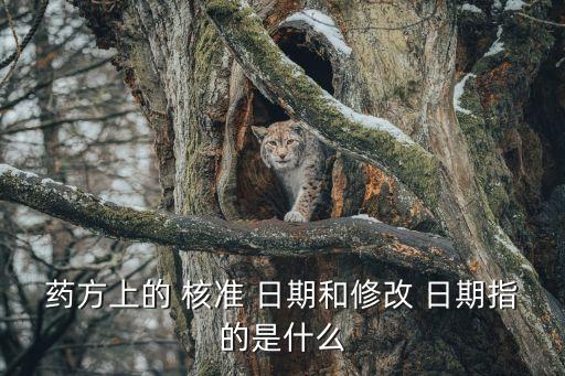 藥方上的 核準 日期和修改 日期指的是什么