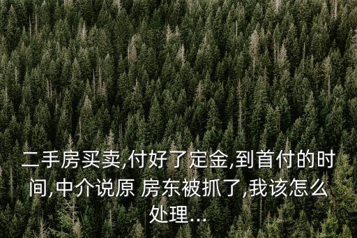 二手房買賣,付好了定金,到首付的時間,中介說原 房東被抓了,我該怎么處理...