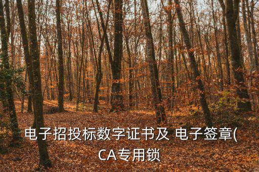  電子招投標數(shù)字證書及 電子簽章(CA專用鎖