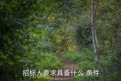 招標(biāo)的條件,暫估價(jià)必須招標(biāo)的條件