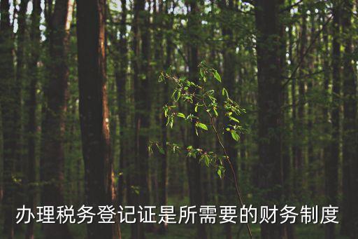 辦理稅務(wù)登記證是所需要的財務(wù)制度