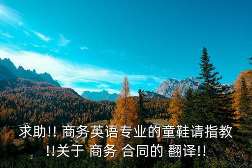商務合同英文翻譯,陰陽合同英文翻譯