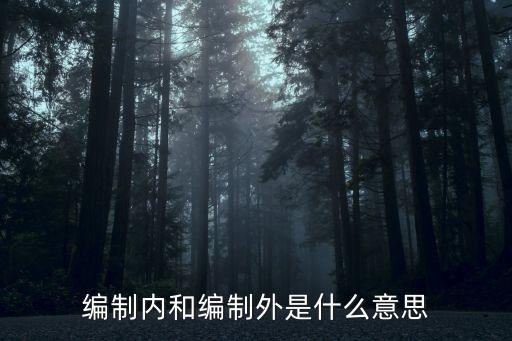 編外和編內(nèi)的區(qū)別,編外工資低為什么那么多人去