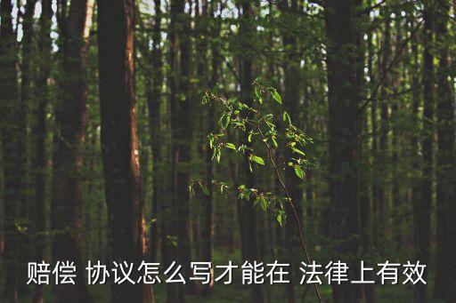 受法律保護的協(xié)議怎么寫,書面協(xié)議怎么寫才有法律保護