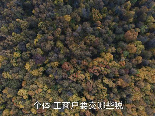 個體工商戶增值稅