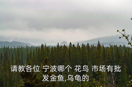 請教各位 寧波哪個 花鳥 市場有批發(fā)金魚,烏龜?shù)? class=