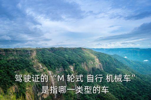 駕駛證的“M 輪式 自行 機械車”是指哪一類型的車