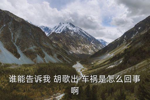 胡歌車禍