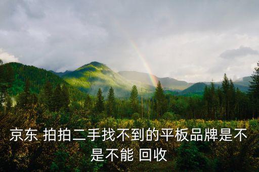 拍拍回收