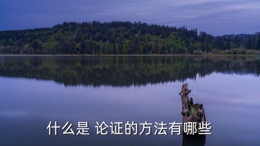 事實(shí)論證