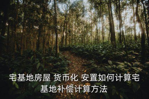 貨幣化安置,棚戶區(qū)改造貨幣化安置