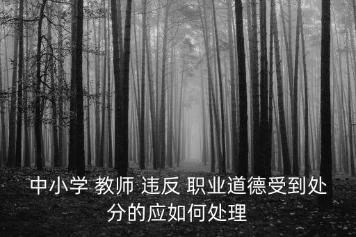 中小學(xué) 教師 違反 職業(yè)道德受到處分的應(yīng)如何處理