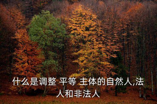 什么是調(diào)整 平等 主體的自然人,法人和非法人
