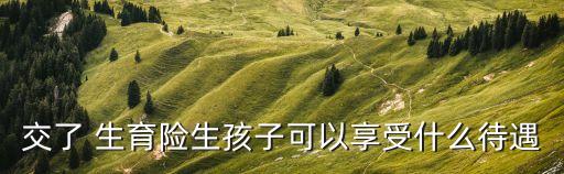 交了 生育險(xiǎn)生孩子可以享受什么待遇