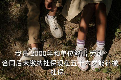 我是 2000年和單位解出 勞動 合同后未繳納社保現(xiàn)在五十六歲能補繳社保...
