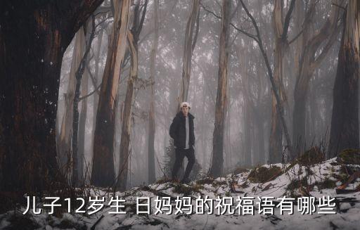 兒子12歲生 日媽媽的祝福語有哪些