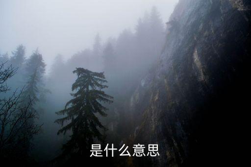 交通是什么意思