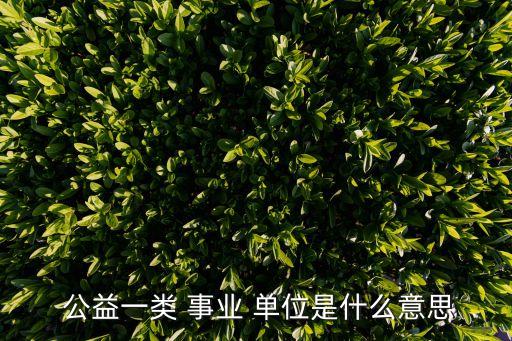  公益一類 事業(yè) 單位是什么意思