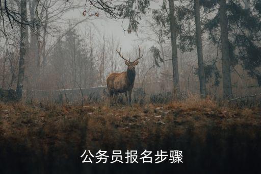 報考公務員流程,大專生報考公務員流程