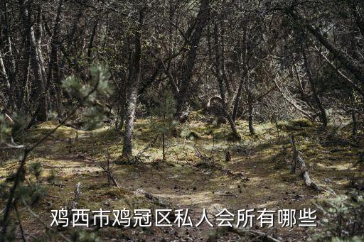 雞西電視臺