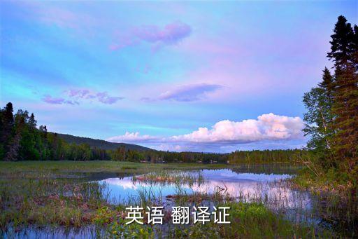 翻譯專業(yè)資格證