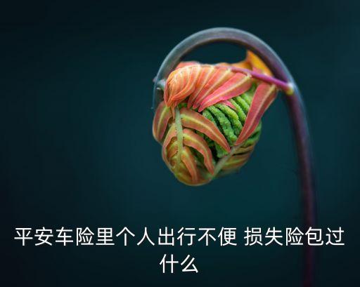 平安車險里個人出行不便 損失險包過什么