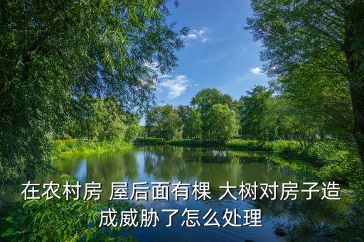 在農村房 屋后面有棵 大樹對房子造成威脅了怎么處理