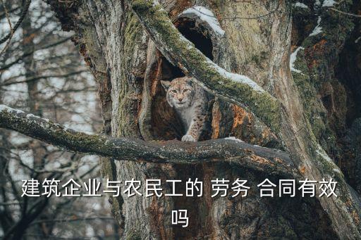 勞務(wù)合同 勞務(wù)協(xié)議有效嗎,勞務(wù)分包協(xié)議和勞務(wù)合同有什么區(qū)別