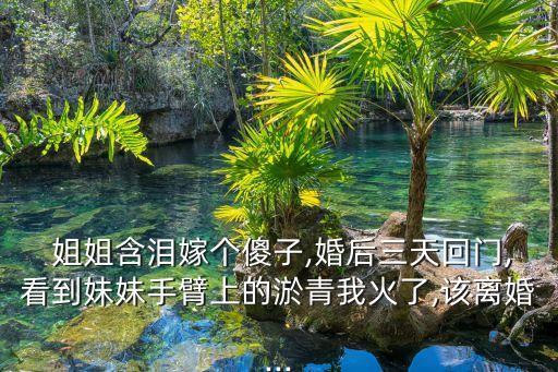 姐姐的逼