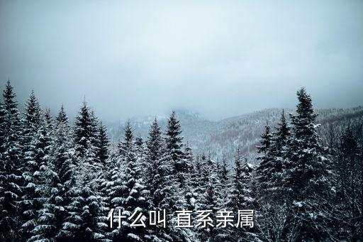 直系血親關(guān)系,公務員之間有夫妻關(guān)系直系血親關(guān)系