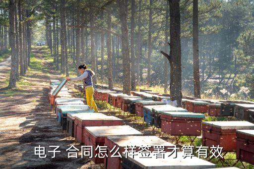 電子合同怎么簽有法律效力