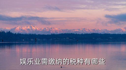娛樂業(yè)需繳納的稅種有哪些