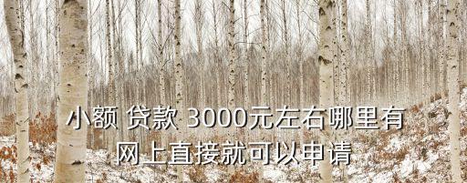  小額 貸款 3000元左右哪里有網(wǎng)上直接就可以申請(qǐng)