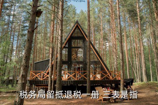 稅務(wù)局留抵退稅一冊(cè) 三表是指