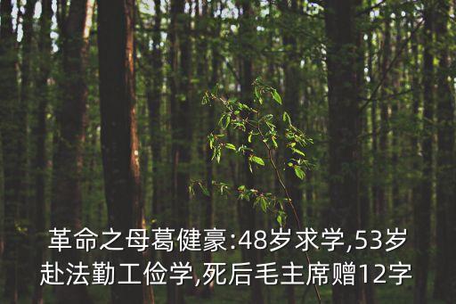 革命之母葛健豪:48歲求學(xué),53歲赴法勤工儉學(xué),死后毛主席贈(zèng)12字