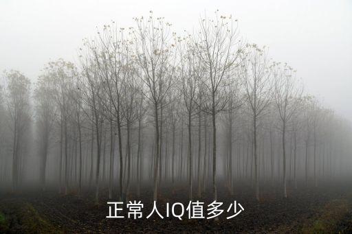 iq值