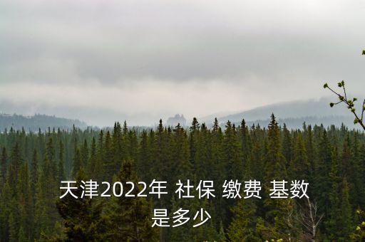  天津2022年 社保 繳費 基數(shù)是多少