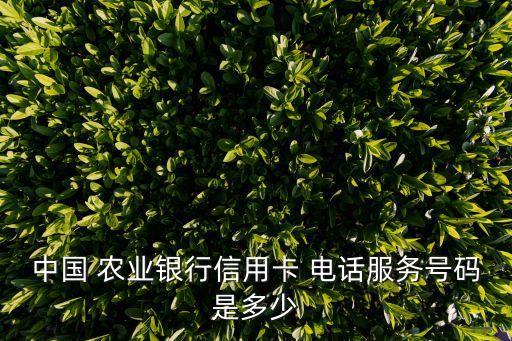 農業(yè)客服電話,農業(yè)銀行客服電話95599人工服務