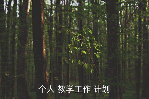 個(gè)人 教學(xué)工作 計(jì)劃