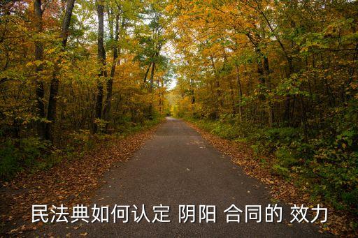 民法典如何認(rèn)定 陰陽 合同的 效力