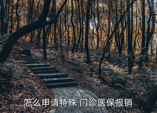 特殊門診怎么辦理,慢性疾病特殊門診怎么辦理