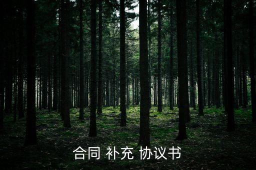 合同 補充 協(xié)議書