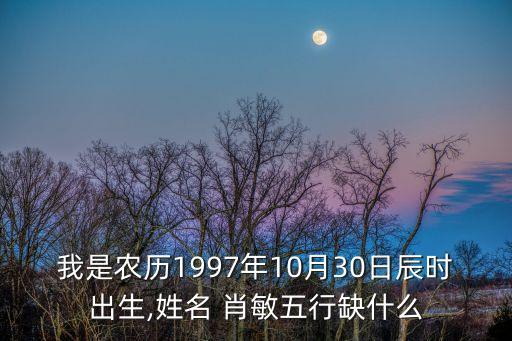 肖敏