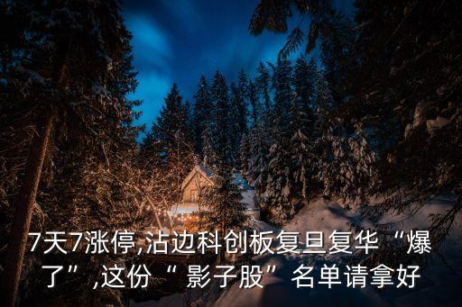 影子股