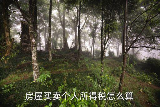 房屋買賣個(gè)人所得稅怎么算