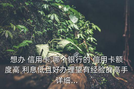 想辦 信用卡,哪個銀行的 信用卡額度高 利息低且好辦理望有經(jīng)驗的高手詳細...