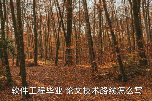  軟件工程畢業(yè) 論文技術(shù)路線怎么寫