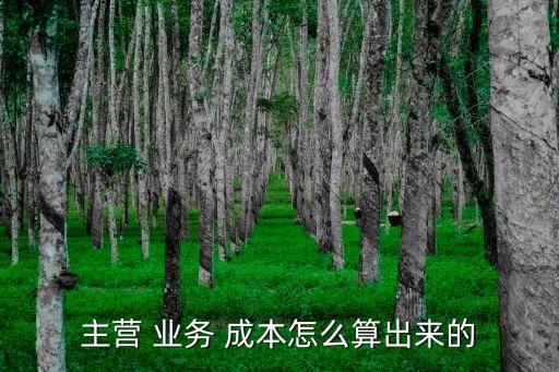 業(yè)務(wù)成本,結(jié)轉(zhuǎn)主營業(yè)務(wù)成本